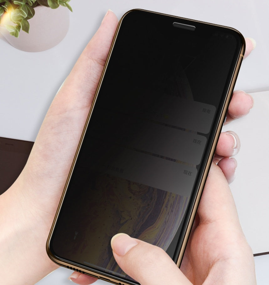 Privacy Tempered Glass Installed on Samsung S10